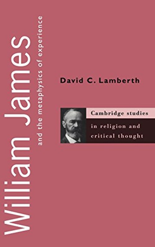 William James and the Metaphysics of Experience – David C. Lamberth view 2