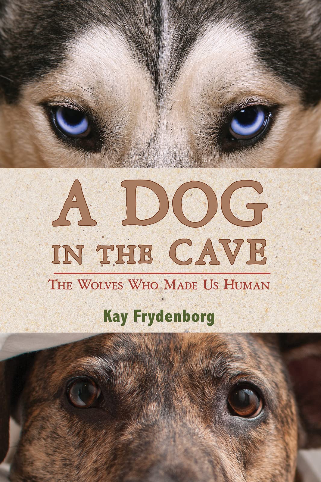 Buy A Dog in the Cave by Kay Frydenborg | Clarion Books | Hardcover | Teen & Young Adult | Questions & Answers | 9780544286566 — BookShops.in