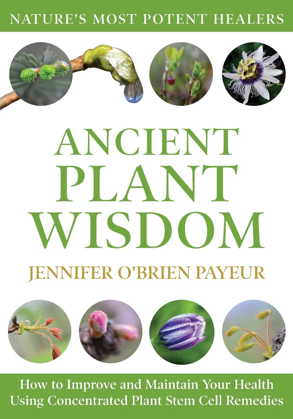 Buy Ancient Plant Wisdom: How to Improve and Maintain Your Health Using Concentrated Plant Stem Cell Remedies by Jennifer O'Brien Payeur | Gatekeeper Press | Hardcover | English | 2025 — BookShops.in