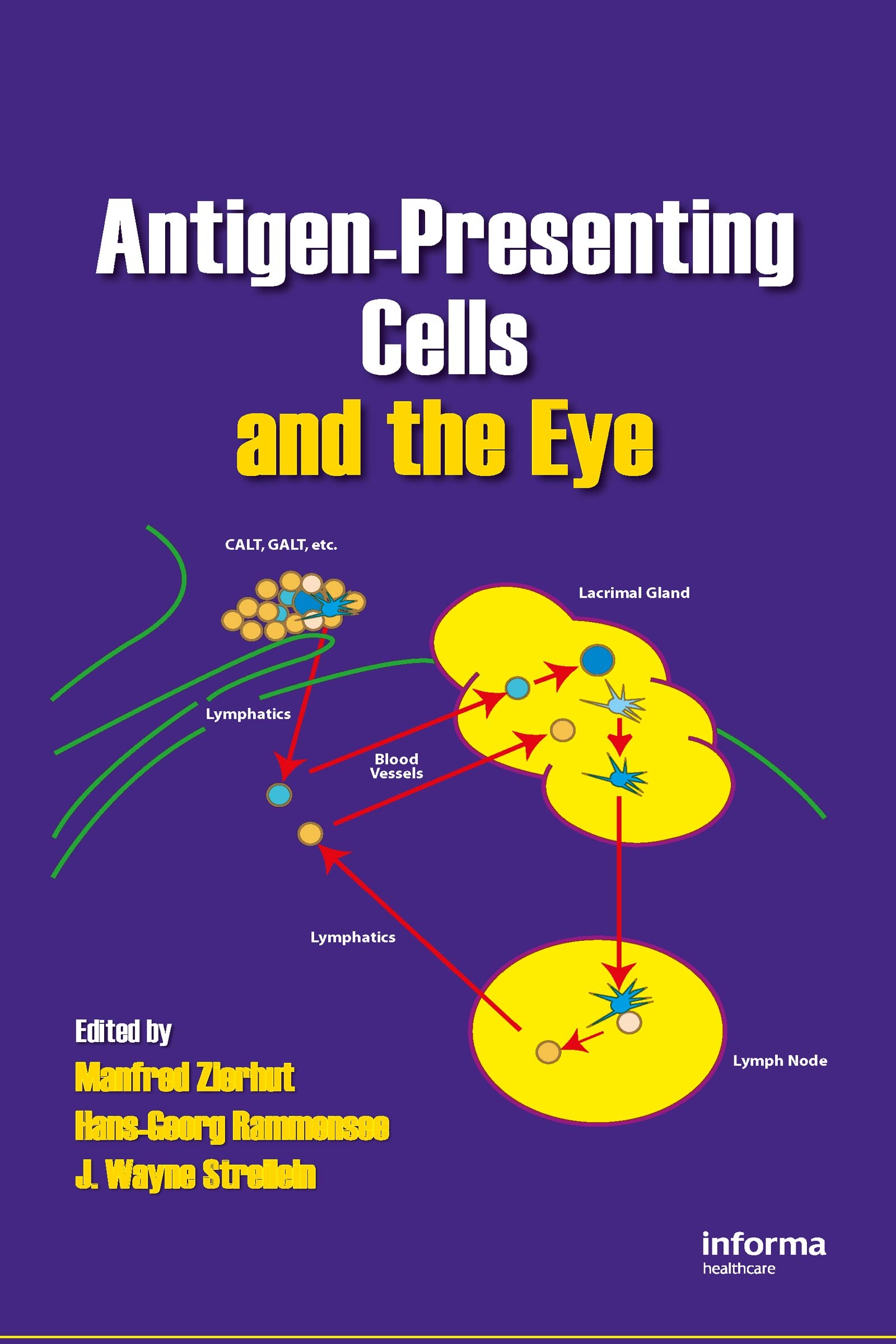 Buy Antigen-Presenting Cells and the Eye by Manfred Zierhut, Hans-Georg Rammensee, Wayne Streilein - CRC Press, English, Paperback, 1st Edition — BookShops.in
