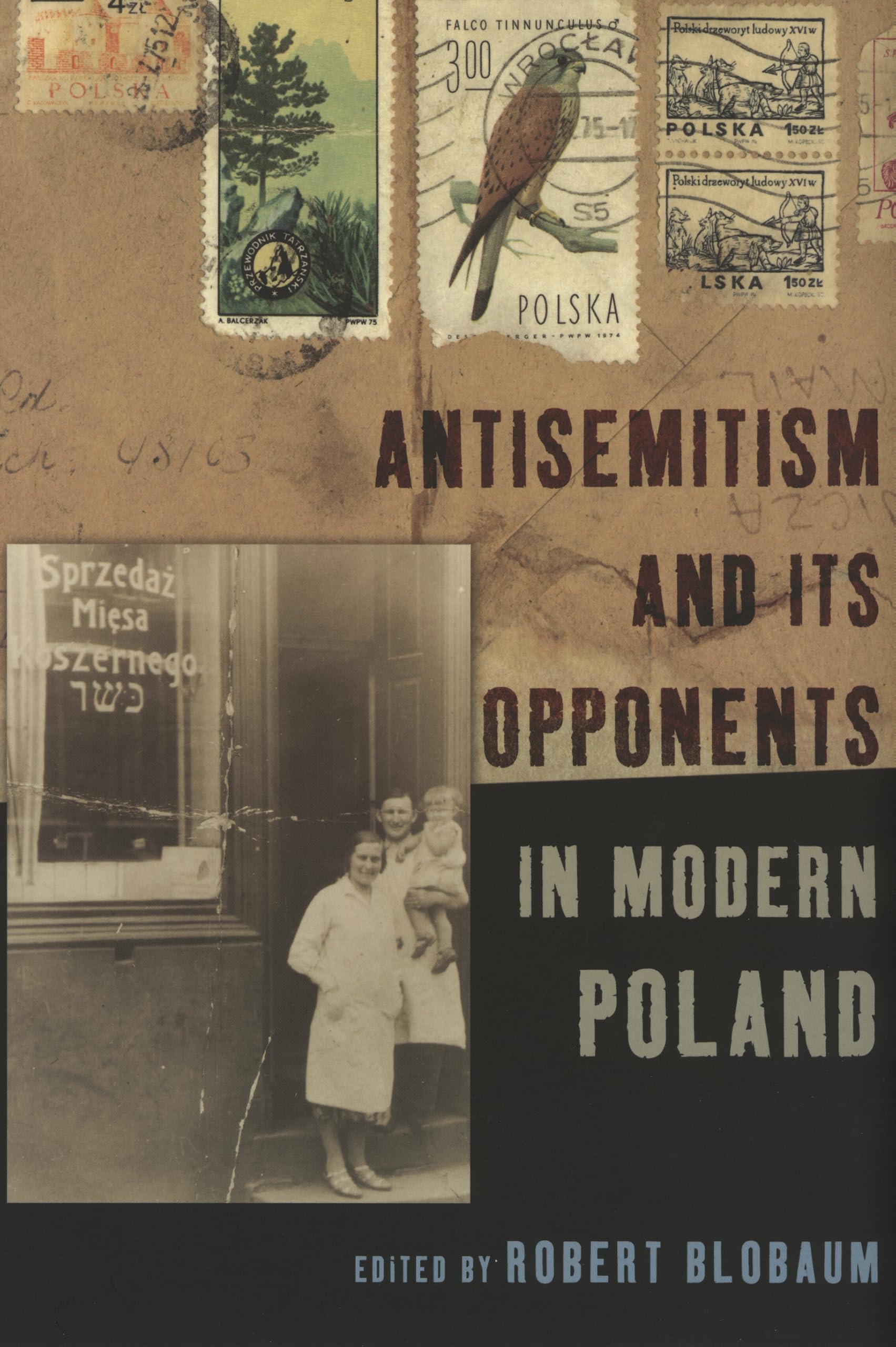 Buy Antisemitism And Its Opponents In Modern Poland by Robert E. Blobaum | Cornell Univ Press | Hardcover | History of Holocaust & Polish-Jewish Relations — BookShops.in