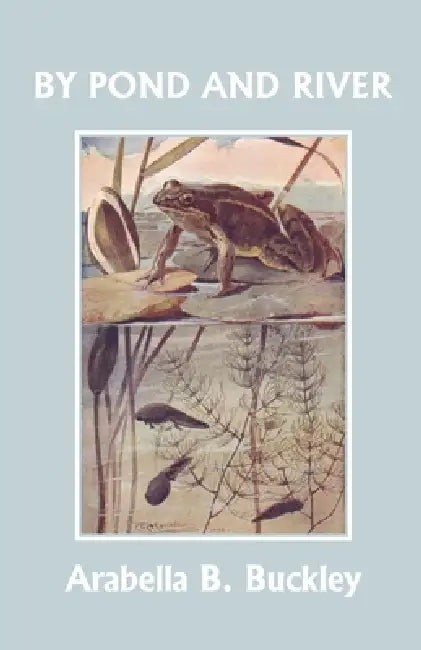 Frakturen Und Luxationen (English, K. H. Bauer) view 2
