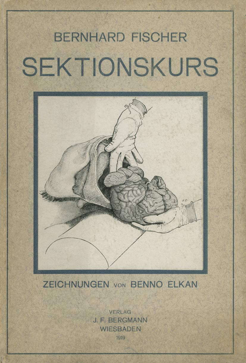 Buy Der Sektionskurs: Pathologisch-Anatomische Untersuchung Menschlicher Leichen by Bernhard Fischer | Springer-Verlag | German Hardcover | 1919 Edition — BookShops.in