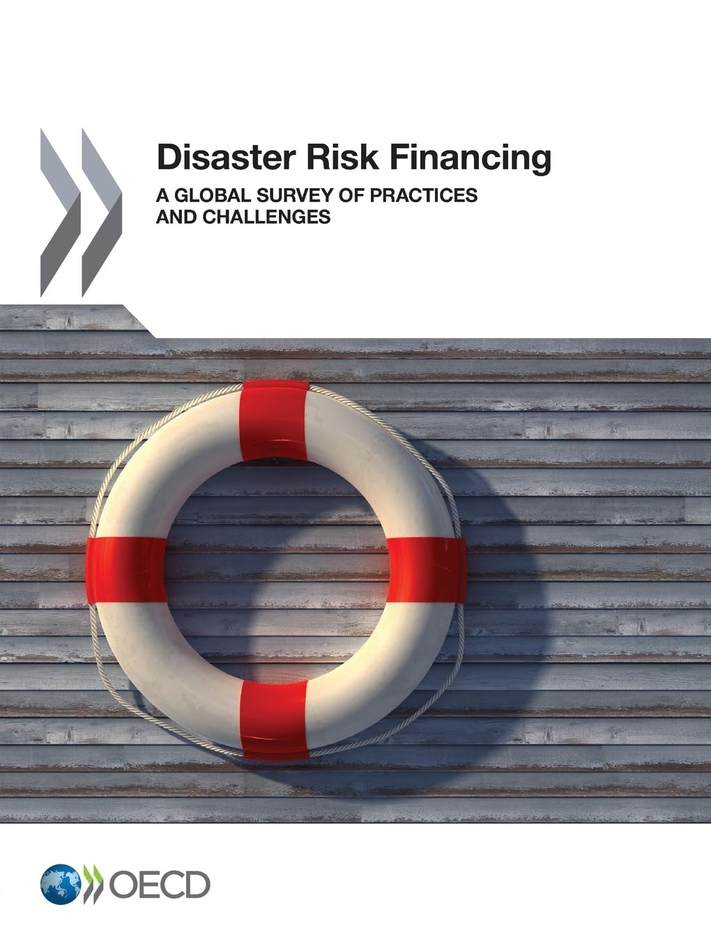 Buy Disaster Risk Financing: A Global Survey of Practices and Challenges by OECD | Hardcover | Publisher: OECD | English | Business & Economics — BookShops.in