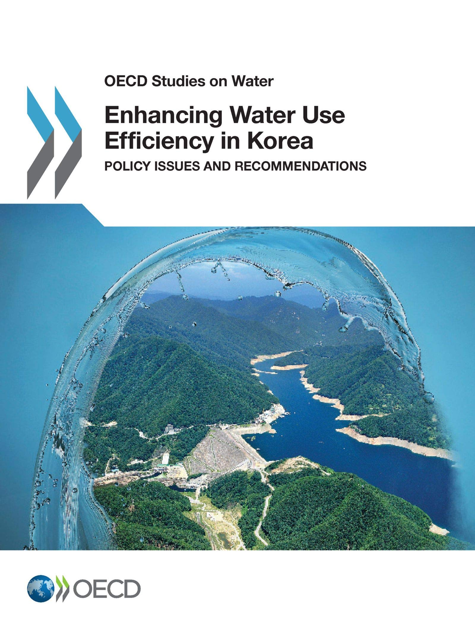 Buy Enhancing Water Use Efficiency in Korea: Policy Issues and Recommendations (OECD Studies on Water) by OECD, Hardcover, 9789264281660, Business & Economics, Development & Growth — BookShops.in