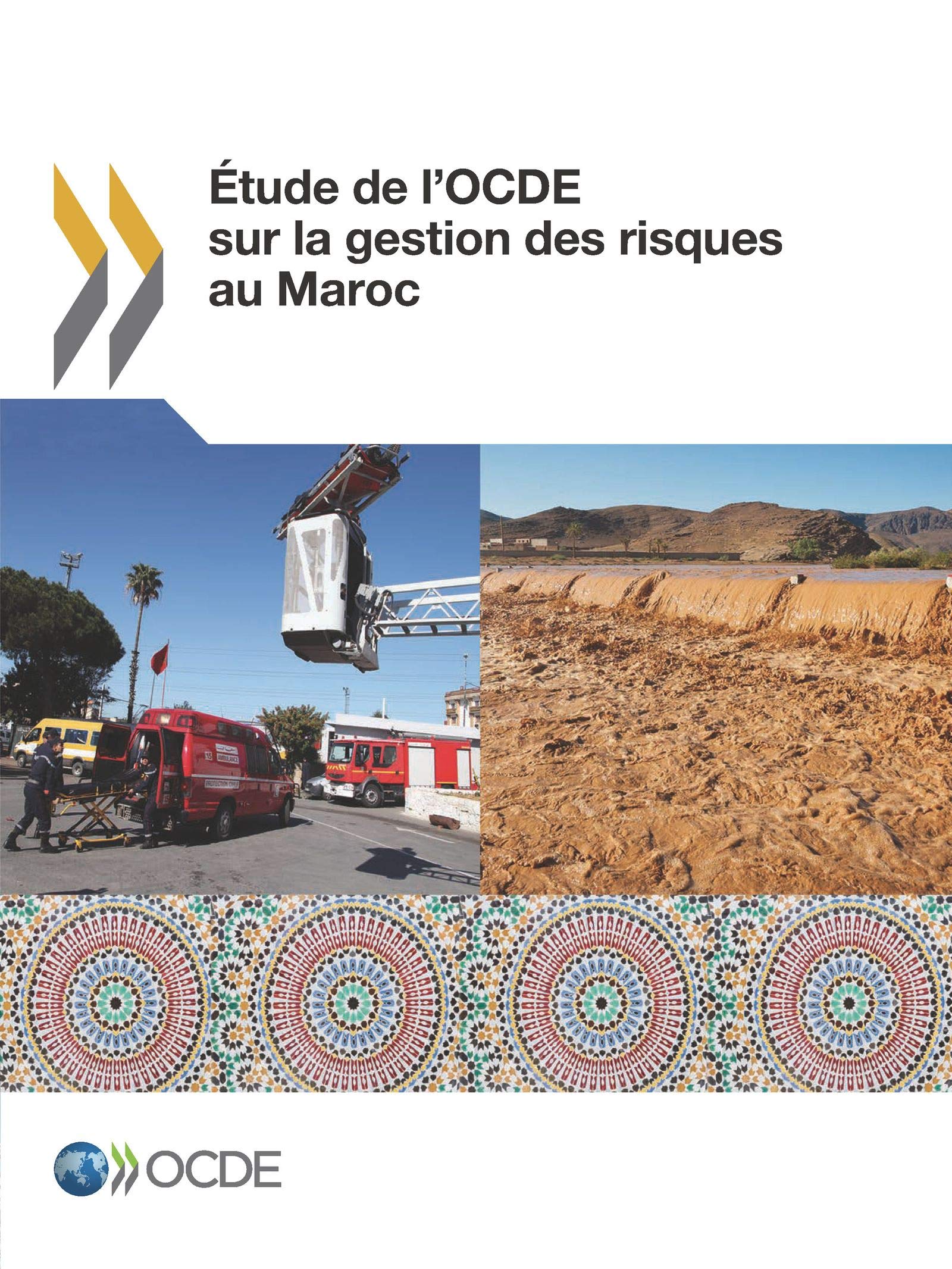 Buy Étude de l'OCDE sur la gestion des risques au Maroc | OECD Hardcover | French Language | Political Science & Government Textbook — BookShops.in