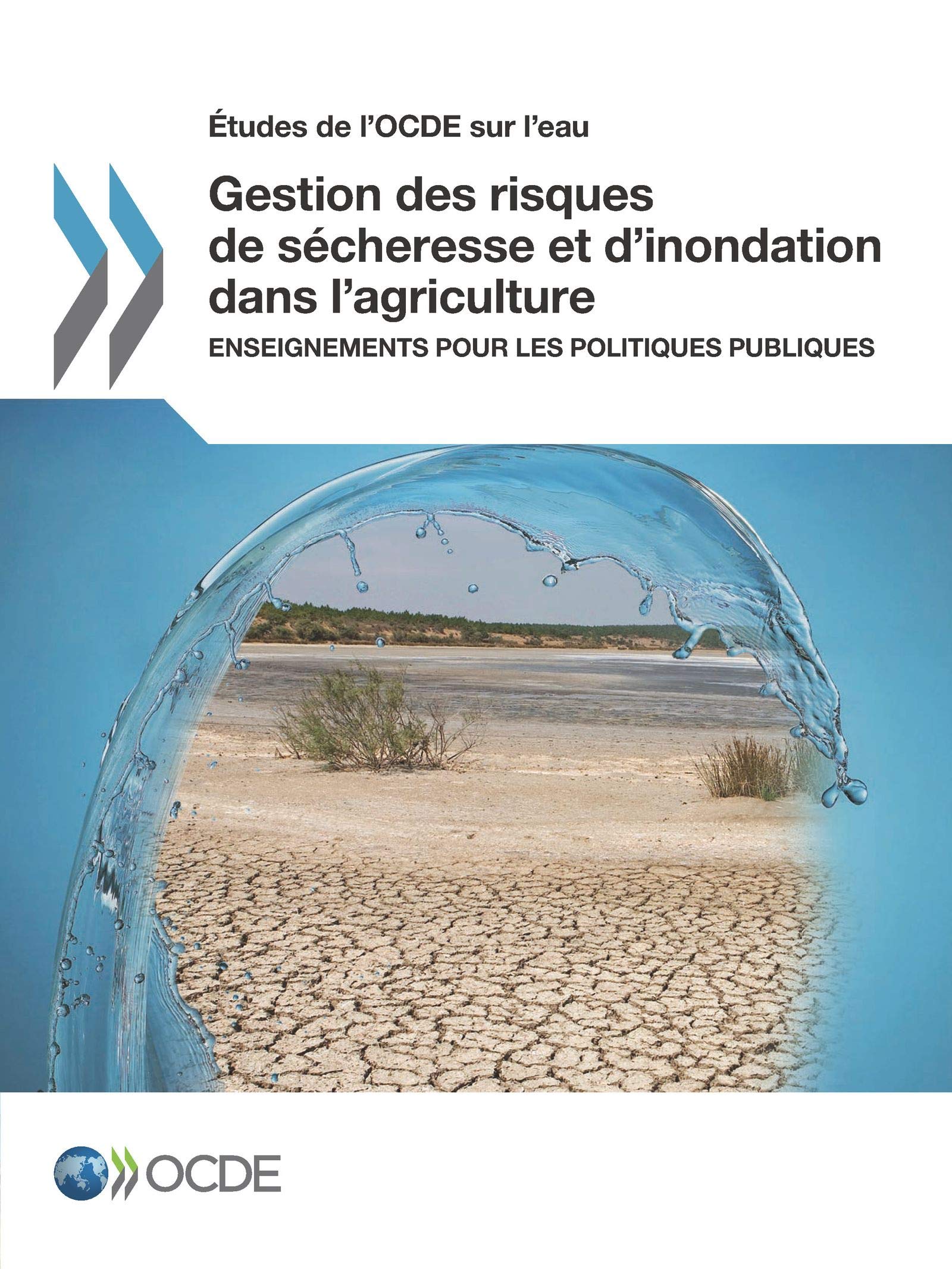 Buy Gestion Des Risques de Sécheresse Et d'Inondation Dans l'Agriculture: OECD Study on Water Management | Hardcover, French Language | Bookshops.in — BookShops.in