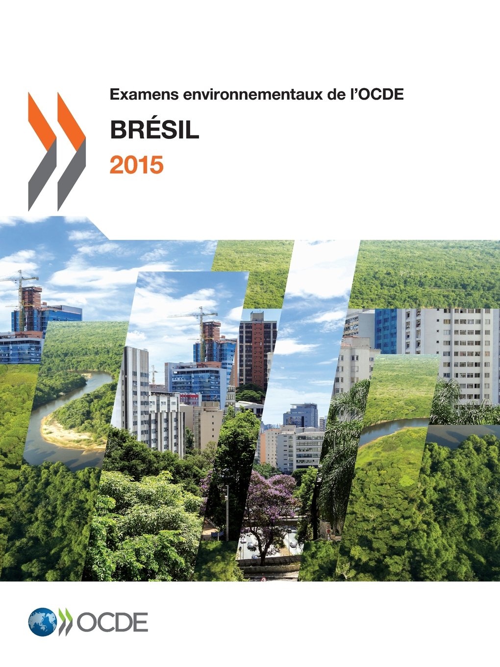 Buy Examens environnementaux de l'OCDE: Brésil 2015 | OECD Hardcover | French Language | Environmental Policy Book — BookShops.in