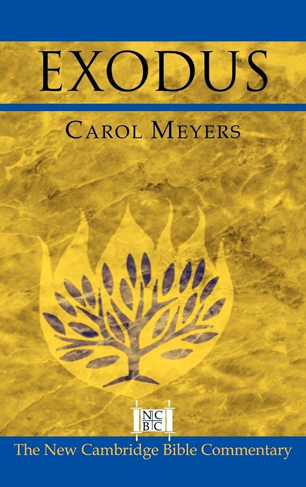 Buy Exodus (New Cambridge Bible Commentary) by Carol L. Meyers | Cambridge University Press | Hardcover | English | 9780521807814 — BookShops.in