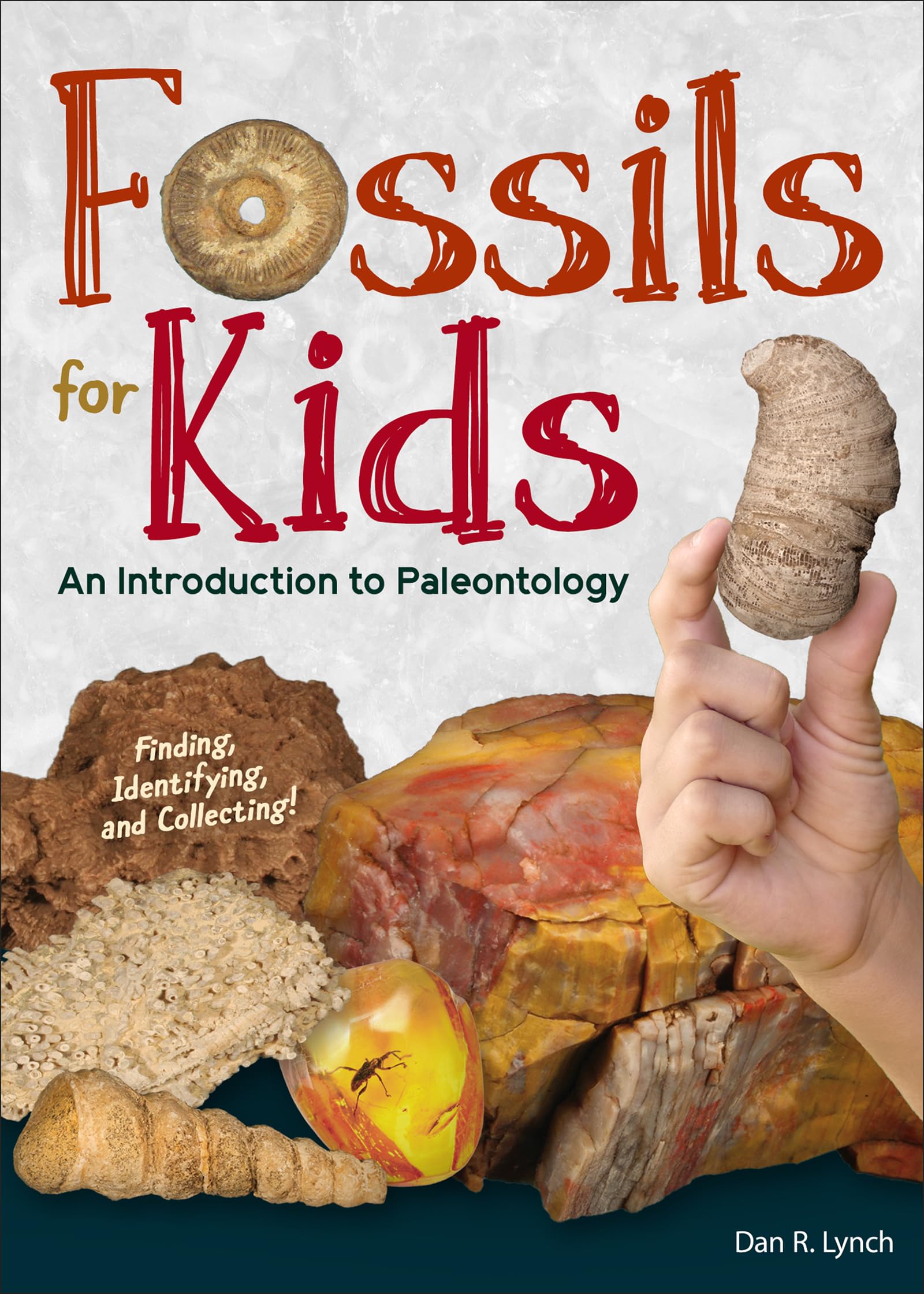 Buy Fossils for Kids: Finding, Identifying, and Collecting by Dan R. Lynch | Adventure Publications | Hardcover | Children's Paleontology Book — BookShops.in