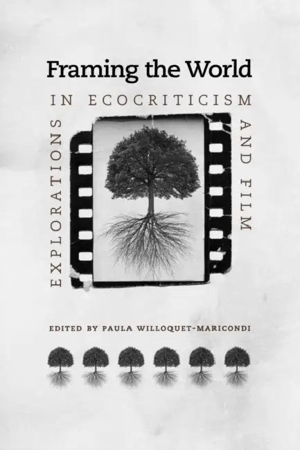 Buy Framing the World (English, Paula Willoquet-Maricondi) — BookShops.in