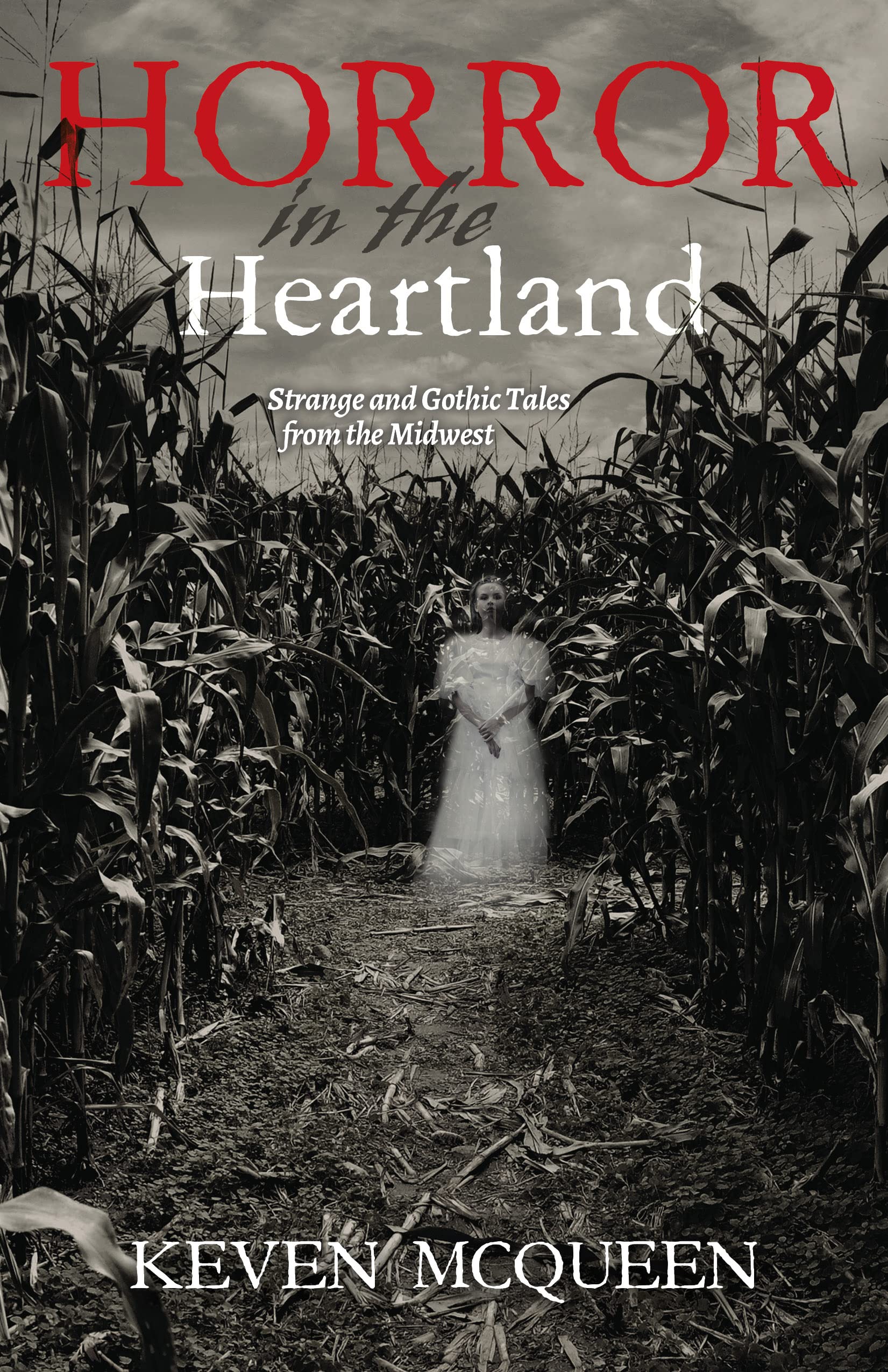 Buy Horror in the Heartland: Strange and Gothic Tales from the Midwest by Keven McQueen | Indiana University Press | Hardcover | 9780253029041 | History & True Crime — BookShops.in