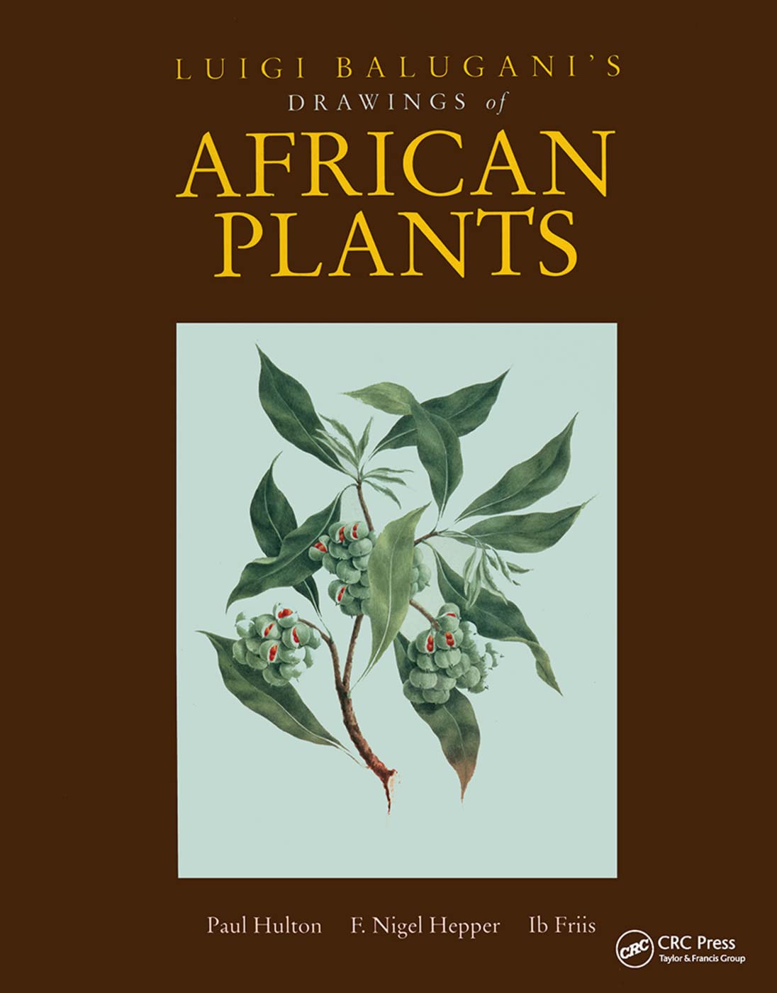 Buy Luigi Balugani's Drawings of African Plants: James Bruce's Nile Expedition 1767-1773 by Hulton Paul, Paul Hulton, Hardcover, 1st Edition, CRC Press — BookShops.in