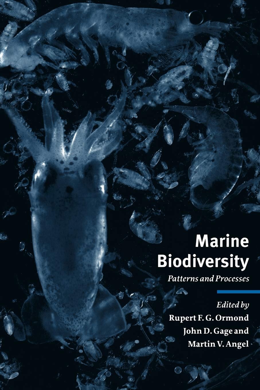 Buy Marine Biodiversity: Patterns and Processes by Rupert F. G. Ormond, John D. Gage, Martin V. Angel | Cambridge University Press | English | Paperback | Revised Edition — BookShops.in