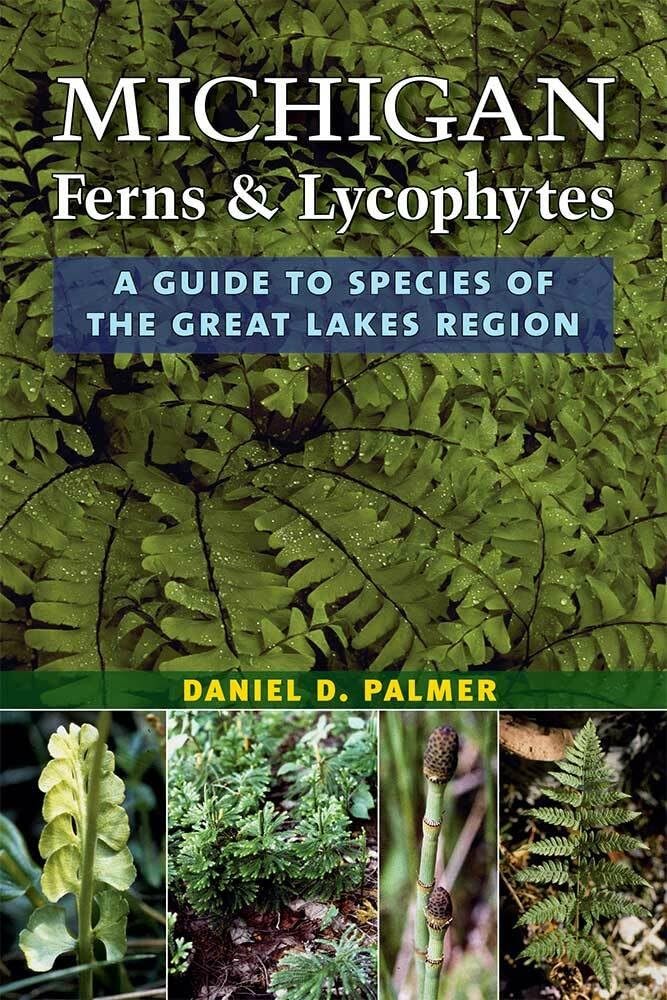 Buy Michigan Ferns and Lycophytes: A Guide to Species of the Great Lakes Region by Daniel D. Palmer | University of Michigan Press | English | Paperback — BookShops.in