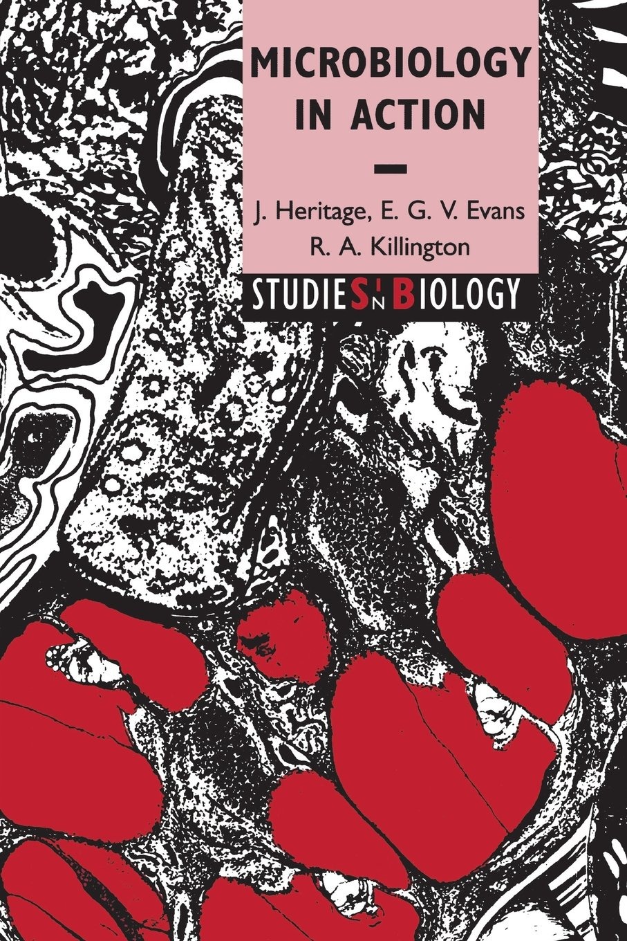 Buy Microbiology in Action (Studies in Biology) by J. Heritage, E. G. V. Evans, R. A. Killington - Cambridge University Press, English, Paperback, 1st Edition — BookShops.in
