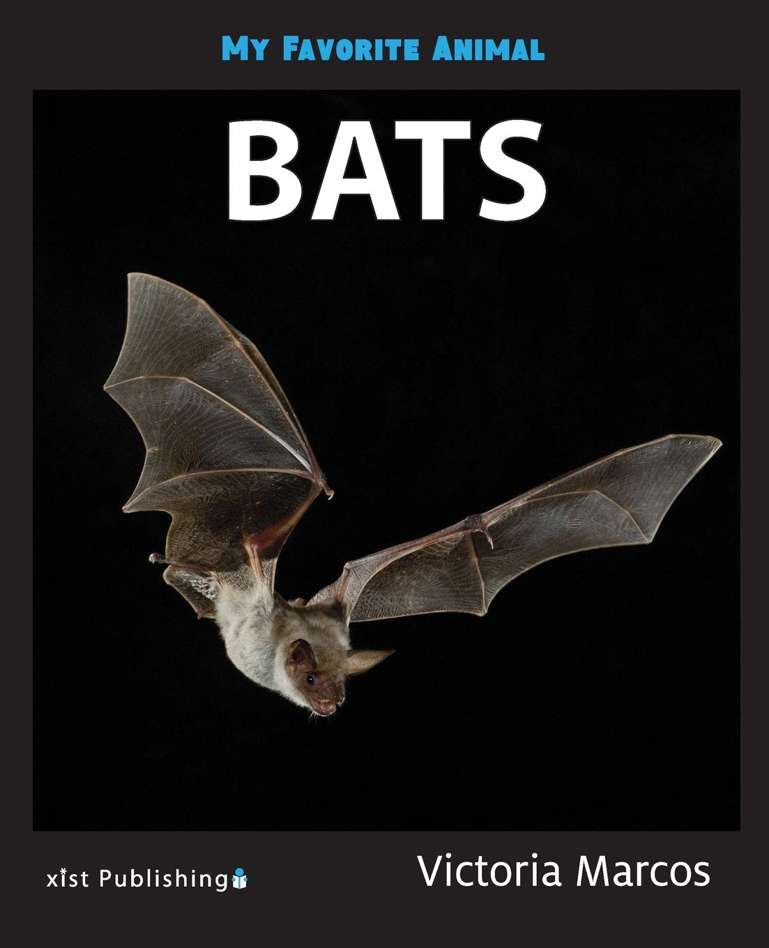 Buy My Favorite Animal: Bats by Victoria Marcos | Xist Publishing | Children's Nature Book | Hardcover | English | ISBN 9781532416194 — BookShops.in