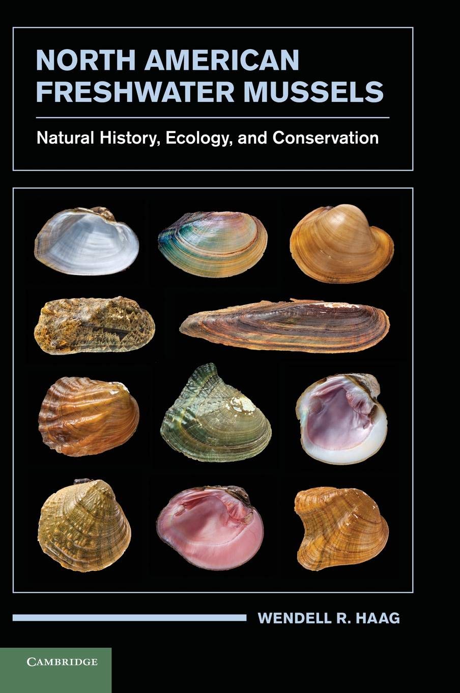 Buy North American Freshwater Mussels by Wendell R. Haag | Cambridge University Press | Hardcover | Illustrated Edition | Biology & Ecology Textbook — BookShops.in