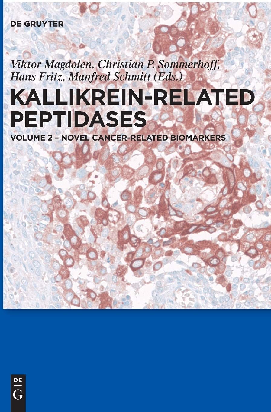 Buy Novel Cancer-Related Biomarkers: 2 by Viktor Magdolen, Christian P. Sommerhoff, Hans Fritz | De Gruyter | English | Paperback | 2012 — BookShops.in