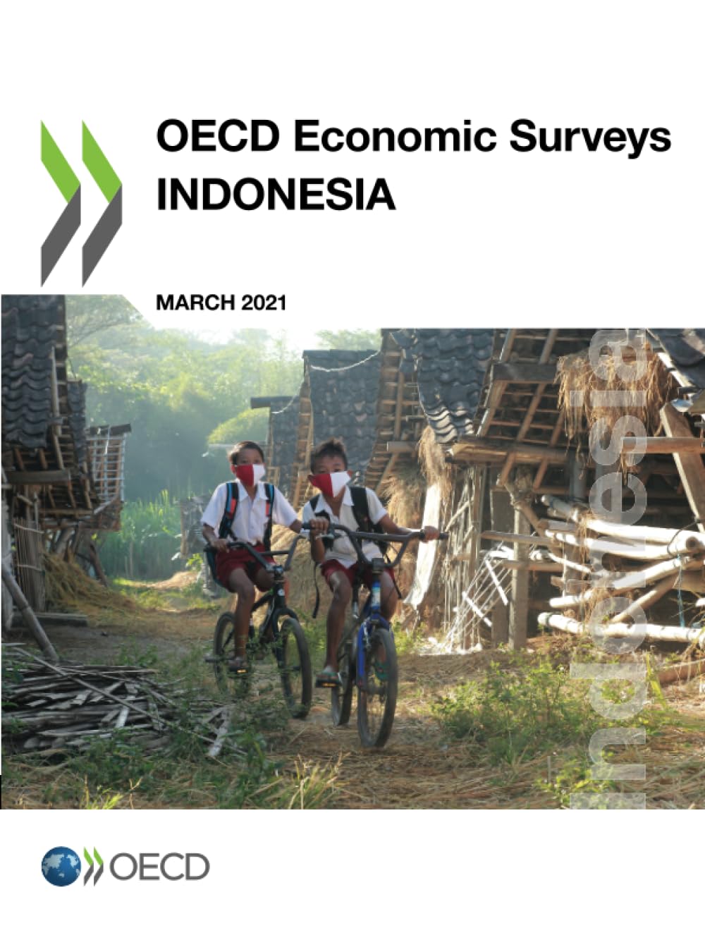 Buy Indonesia 2021: 2021/4 OECD Economic Surveys by OECD | Hardcover | Economics & Business Finance — BookShops.in