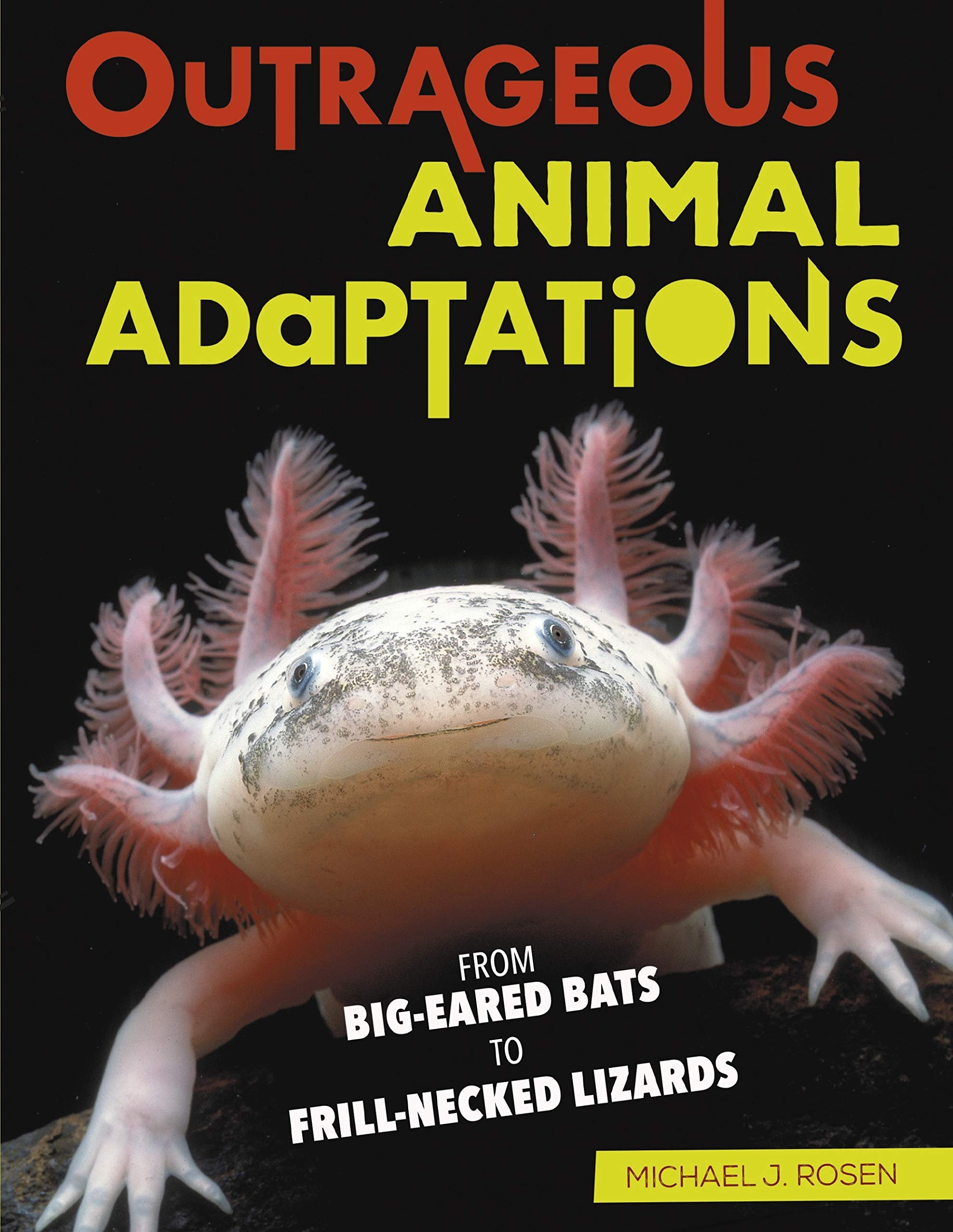 Buy Outrageous Animal Adaptations: From Big-Eared Bats to Frill-Necked Lizards by Michael J. Rosen | Twenty First Century Books | English Paperback Illustrated Edition — BookShops.in