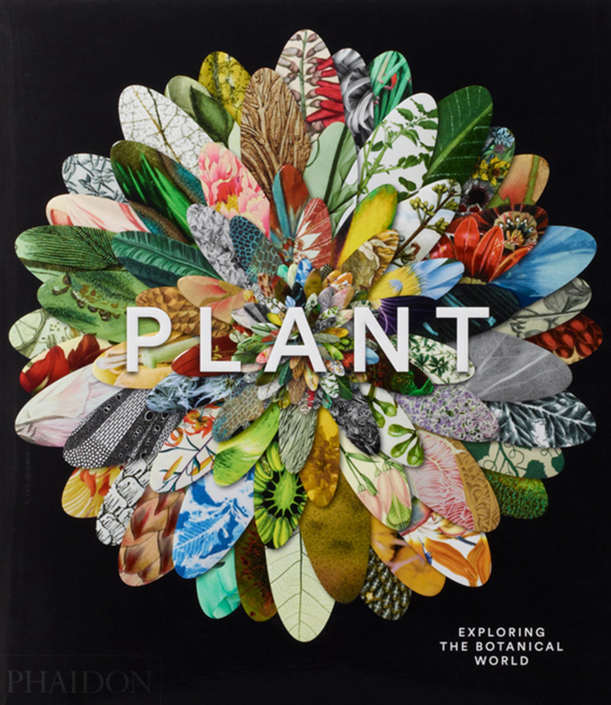Buy Plant Exploring the Botanical World by Phaidon | Hardcover | Photography & Art Book | ISBN 9780714871486 — BookShops.in