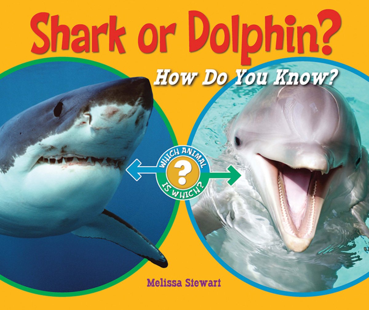 Buy Shark or Dolphin?: How Do You Know? (Which Animal Is Which?) by Melissa Stewart | Enslow Elementary | English Hardcover | Children's Zoology Book for Ages 5-8 | Illustrated Edition — BookShops.in
