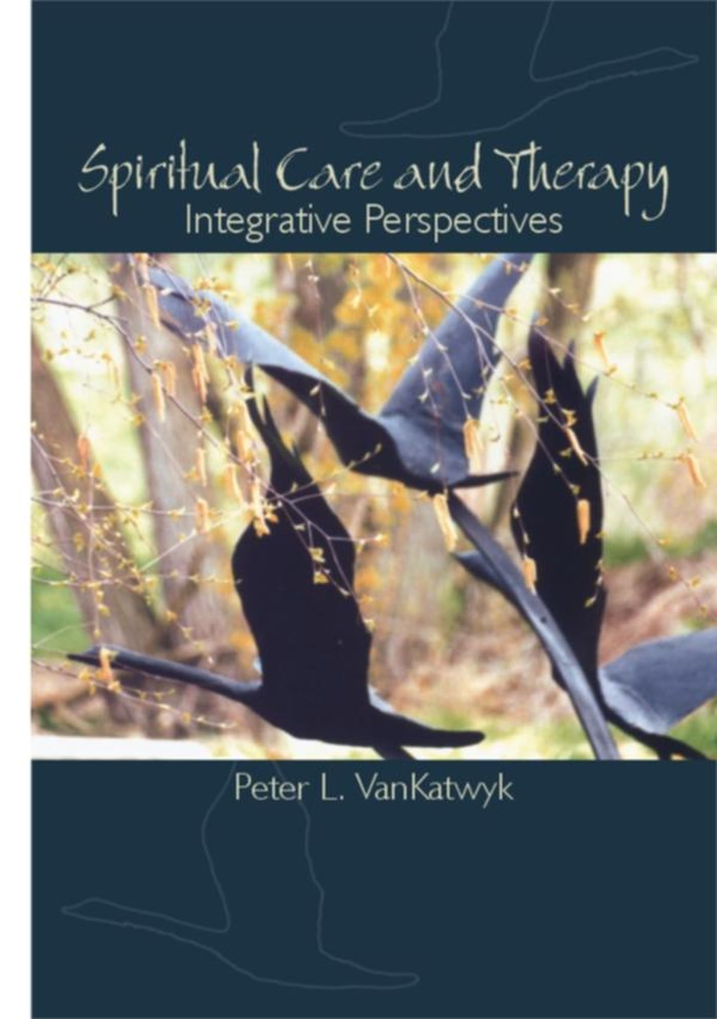 Buy Spiritual Care and Therapy: Integrative Perspectives by Peter L. Vankatwyk - Hardcover, English, Wilfrid Laurier University Press, Clinical Psychology Textbook — BookShops.in