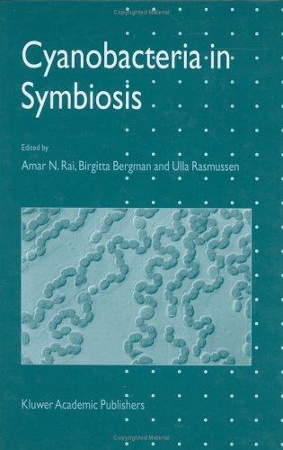 Buy Cyanobacteria in Symbiosis by A. N. Rai, B. Bergman, Ulla Rasmussen | Springer Hardcover | Biology & Life Sciences Textbook — BookShops.in