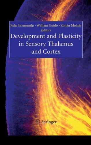 Buy Development and Plasticity in Sensory Thalamus and Cortex by Reha Erzurumlu, William Guido, Zoltan Molnar | Springer Hardcover | Textbook | Bookshops.in — BookShops.in