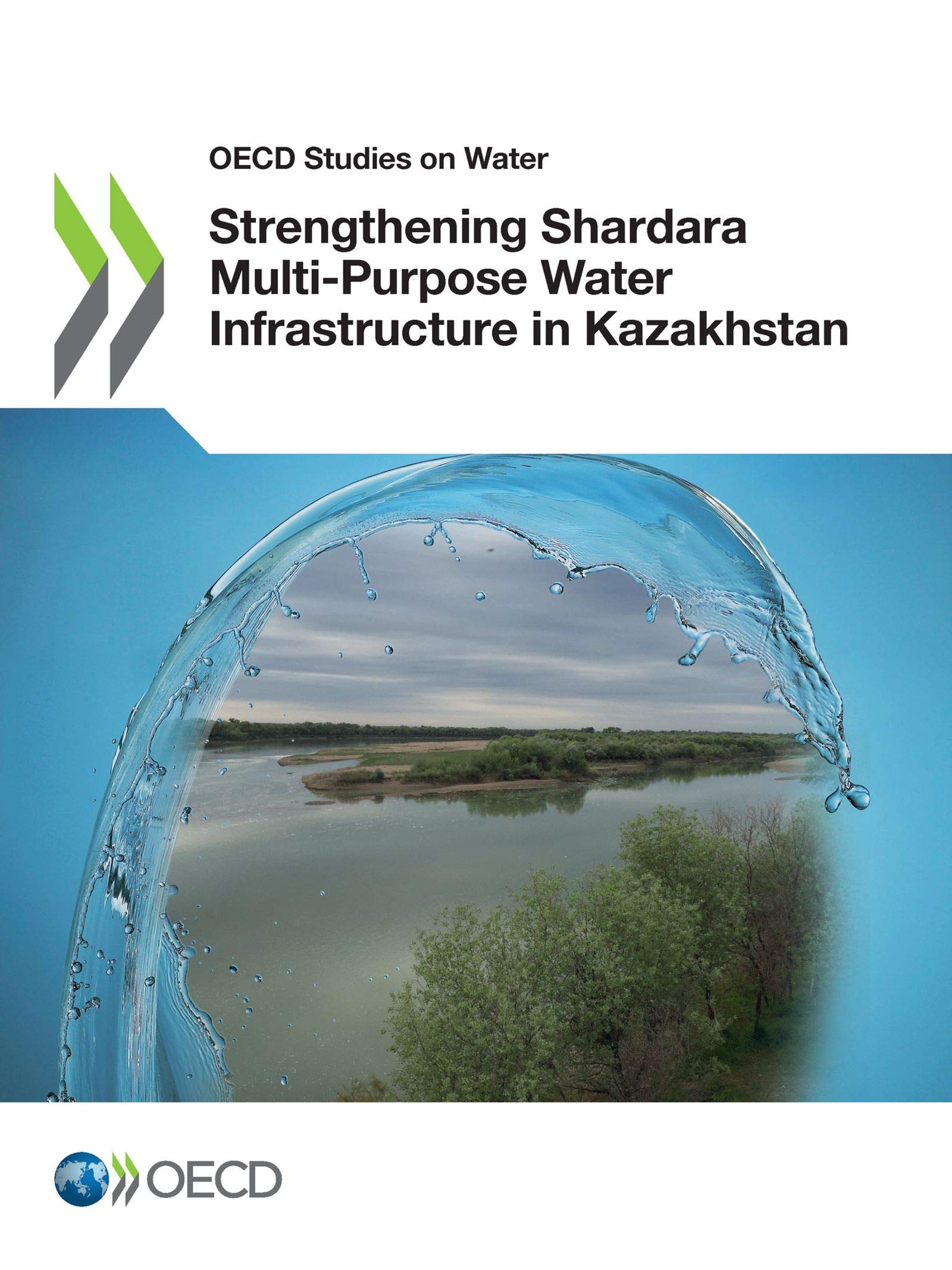 Buy Strengthening Shardara Multi-Purpose Water Infrastructure in Kazakhstan (OECD Studies on Water) by OECD | Hardcover | English | Organization for Economic Co-operation and Development | Business & Economics > Development & Growth — BookShops.in