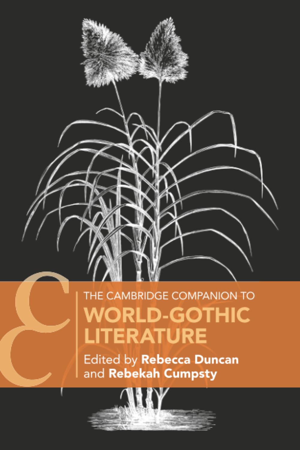 The Cambridge Companion to World-Gothic Literature by Rebecca Duncan – hardcover book cover