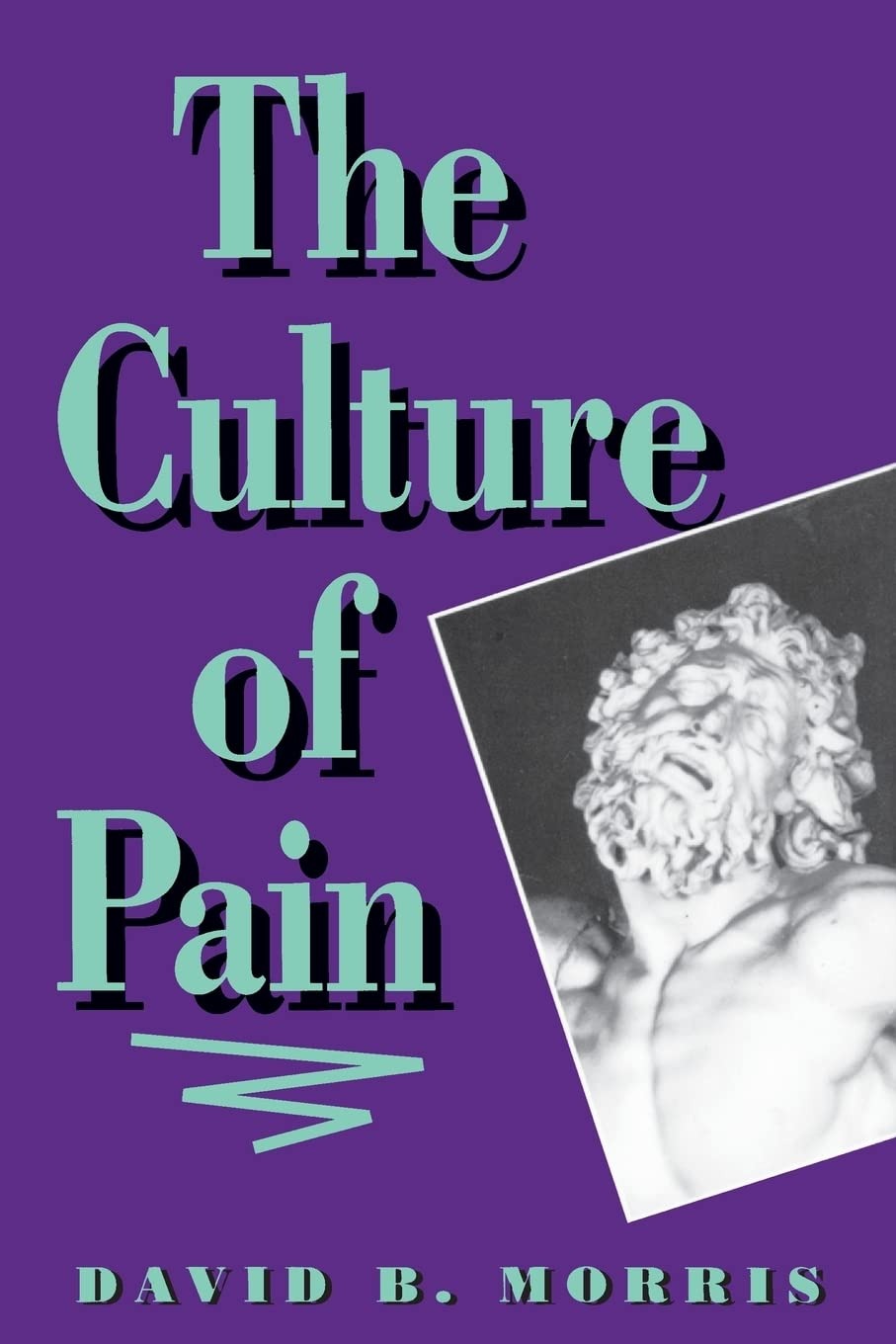 Buy The Culture of Pain by David B. Morris | Univ of California Pr | English | Paperback | Reprint Edition — BookShops.in
