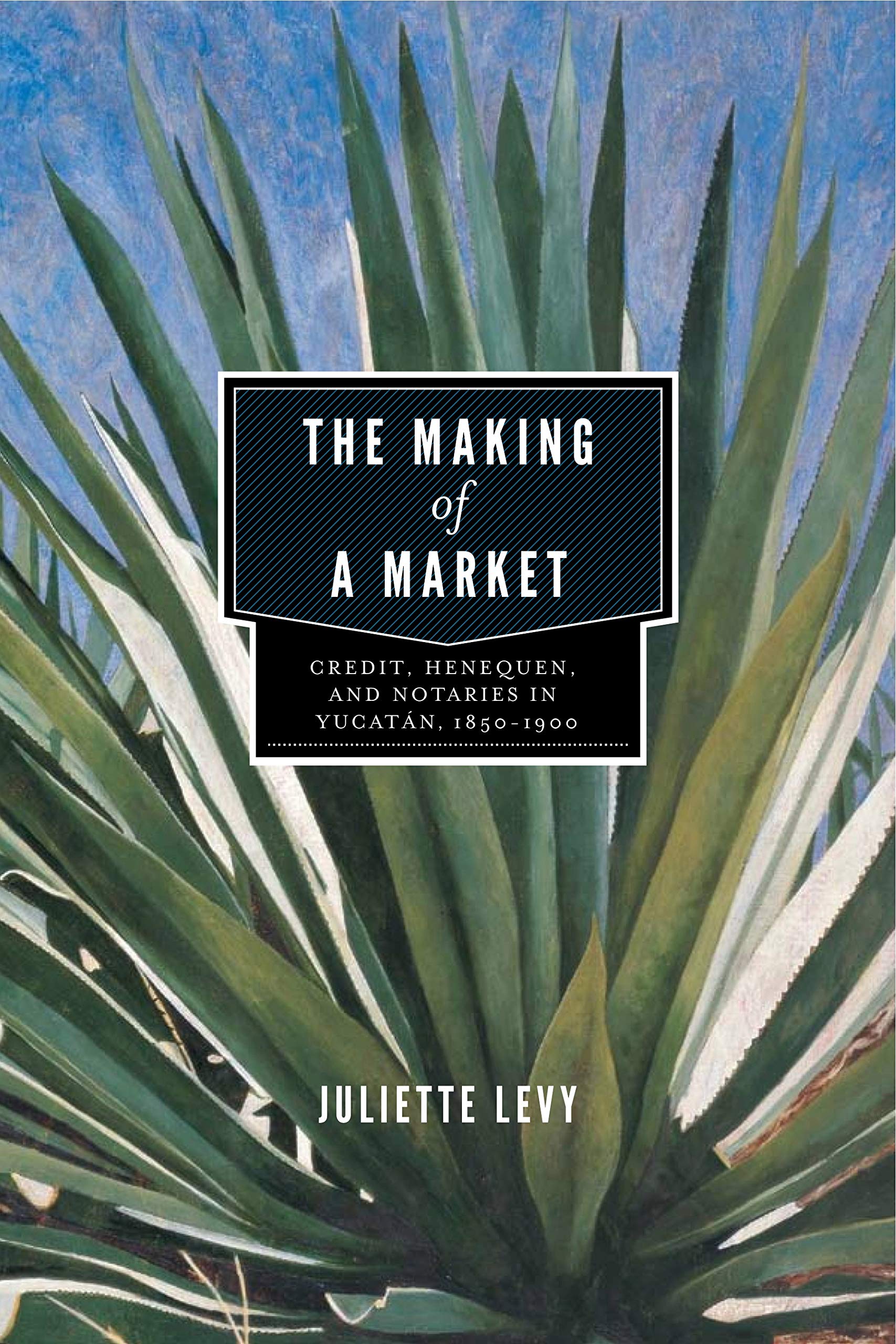 Buy The Making of a Market: Credit, Henequen, and Notaries in Yucatán (1850-1900) – Bookshops.in — BookShops.in