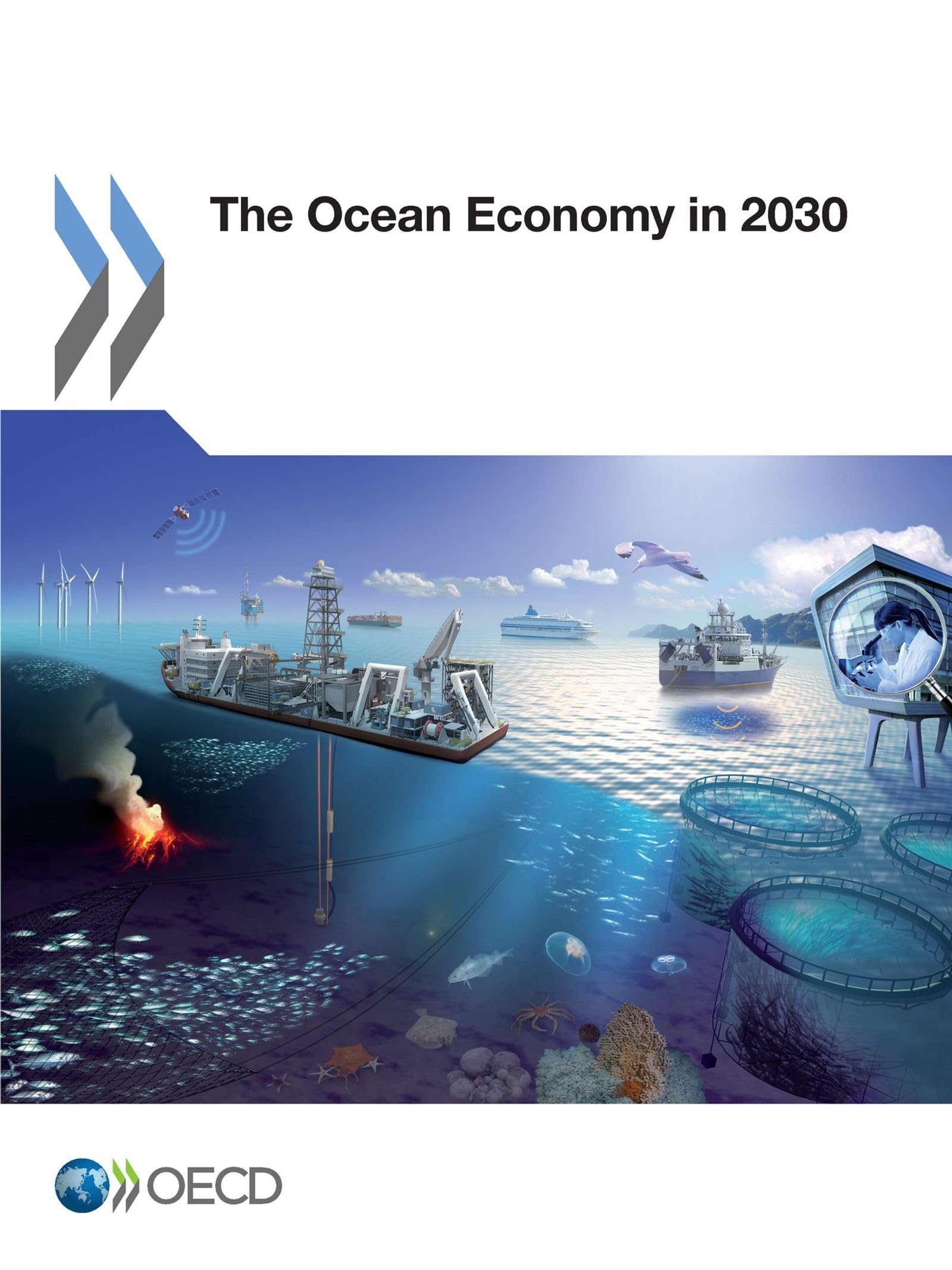 Buy The Ocean Economy in 2030 by OECD | Hardcover | Political Science & Government Textbook | Organization for Economic Publisher — BookShops.in