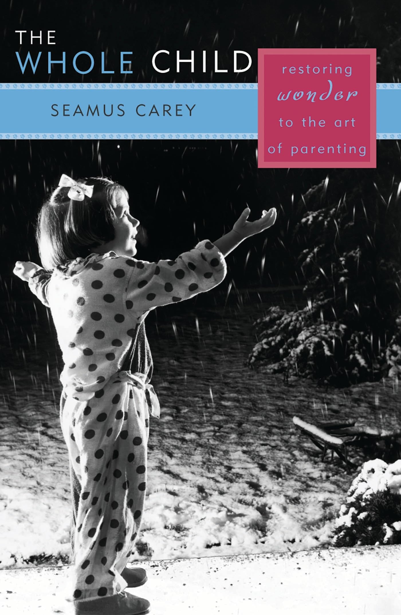 Buy The Whole Child: Restoring Wonder to the Art of Parenting by Seamus Carey | Rowman & Littlefield | English | Paperback | 2003 — BookShops.in