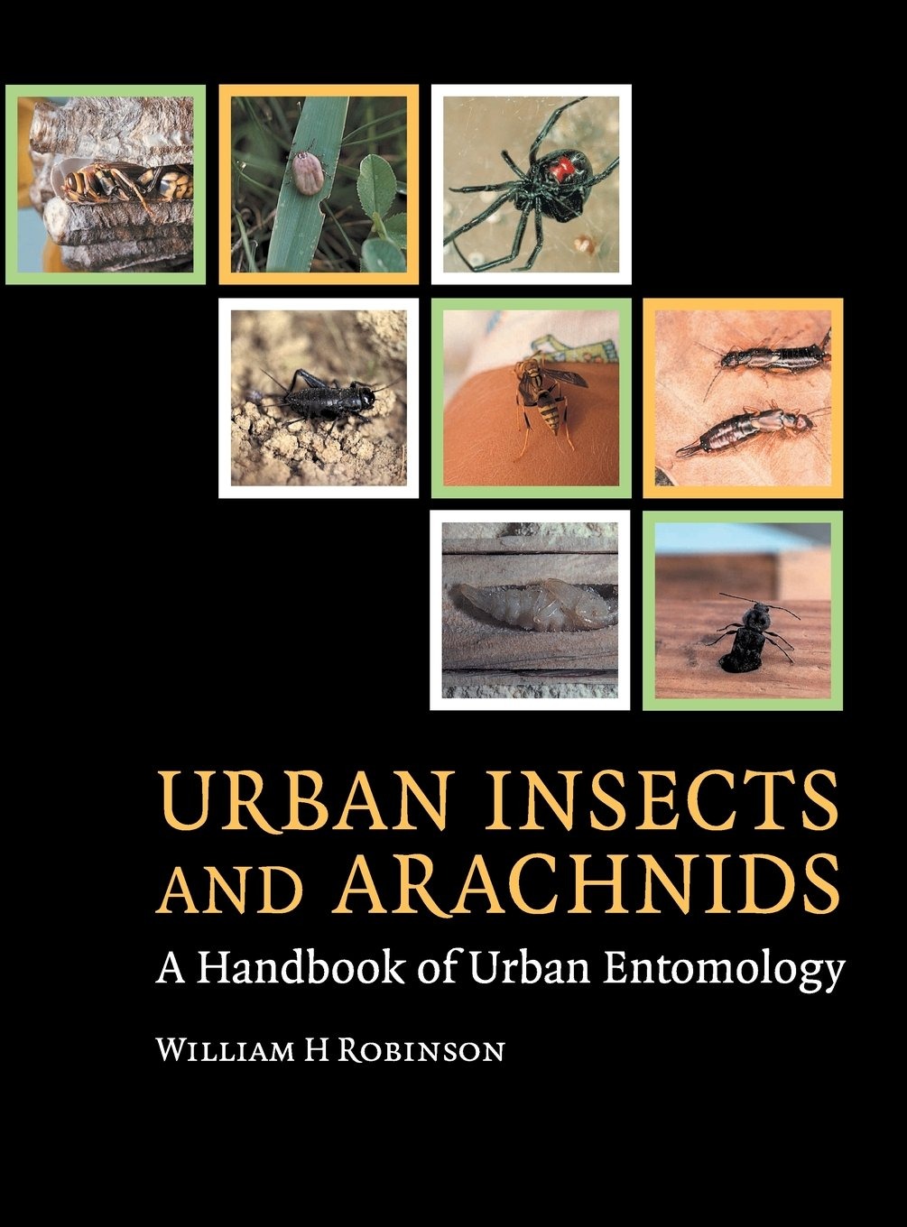 Buy Urban Insects and Arachnids: A Handbook of Urban Entomology by William H. Robinson | Cambridge University Press | English | Paperback | 2005 — BookShops.in