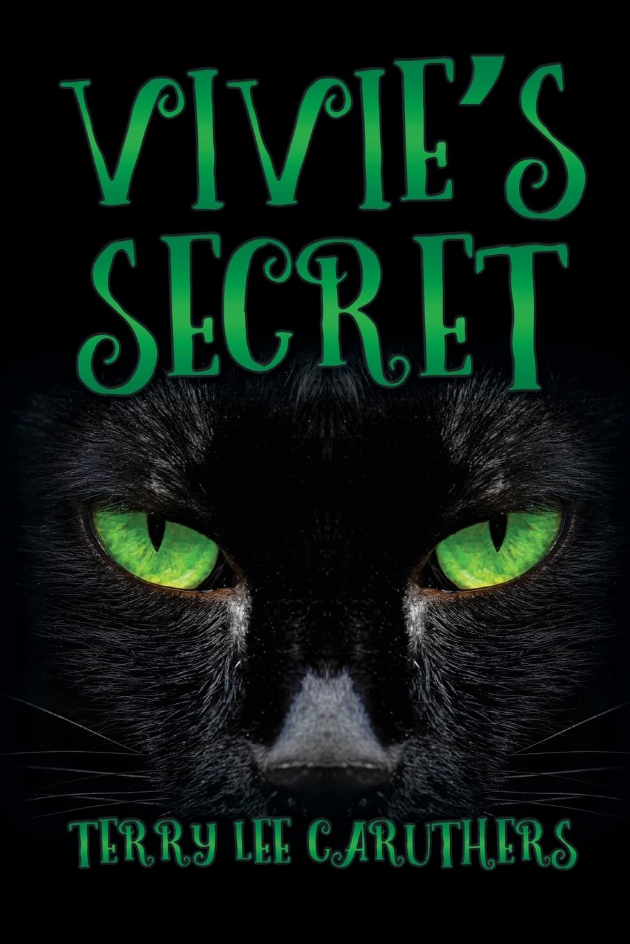 Buy Vivie's Secret by Terry Lee Caruthers | Hardcover Historical Fiction for Teens | Black Rose Writing — BookShops.in