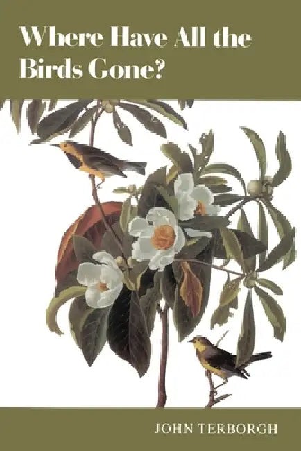Die Flotation in Theorie Und PRAXIS (English, W. Luyken | E. Bierbrauer) view 2