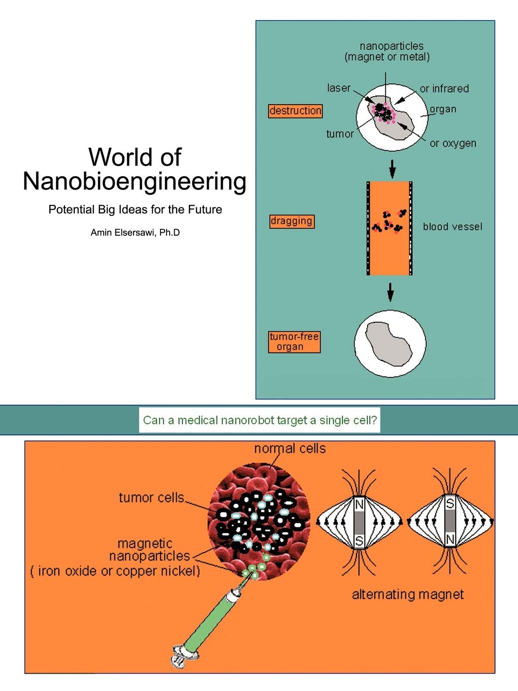 Buy World of Nanobioengineering: Potential Big Ideas for the Future by Amin Elsersawi Ph. D. | AuthorHouse | Hardcover | English | Higher Education Textbooks | Science & Mathematics — BookShops.in