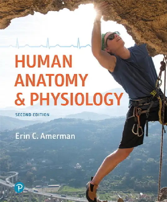 Buy Human Anatomy & Physiology | by Erin Amerman | Pearson | by Erin Amerman | Pearson | by Erin Amerman | Pearson | by Erin Amerman | Pearson | by Erin Amerman | Pearson | by Erin Amerman | Pearson | by Erin Amerman | Pearson | by Erin Amerman | Pearson | by Erin Amerman | Pearson | by Erin Amerman | Pearson | by Erin Amerman | Pearson | by Erin Amerman | Pearson | by Erin Amerman | Pearson | by Erin Amerman | Pearson | by Erin Amerman | Pearson | by Erin Amerman | Pearson | by Erin Amerman | Pears — BookShops.in