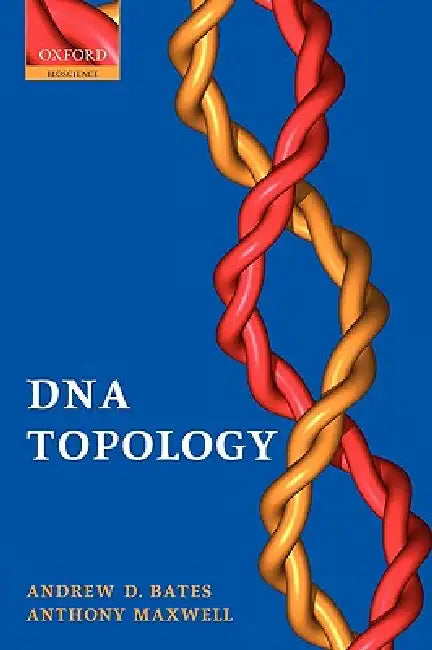 DNA Topology (English, Andrew D. Bates | Tony Maxwell | Anthony Maxwell)