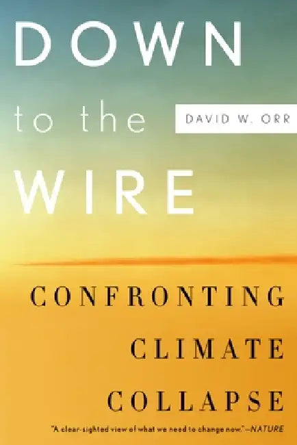 Down to the Wire (English, David W. Orr)
