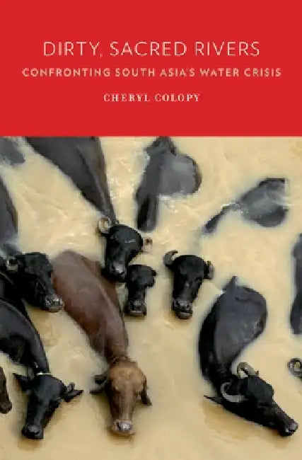 Buy Dirty, Sacred Rivers (English, Cheryl Colopy) — BookShops.in