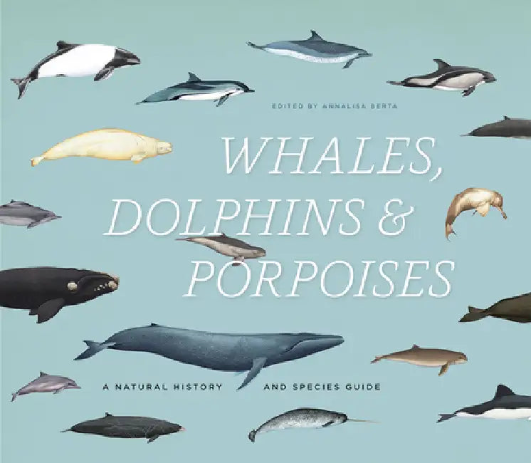 Buy Whales, Dolphins & Porpoises (English, Annalisa Berta) — BookShops.in