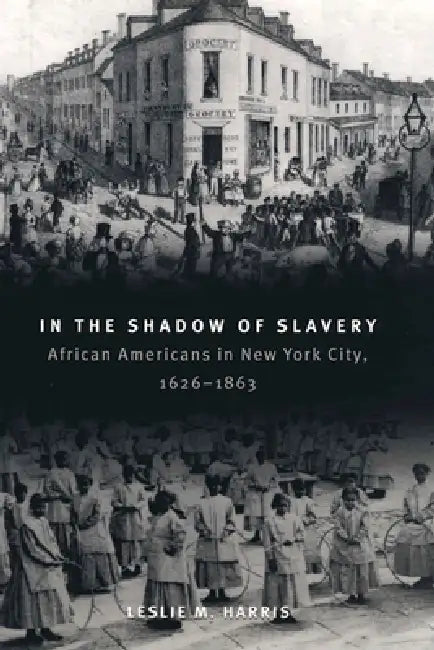 In the Shadow of Slavery (English, Leslie M. Harris)