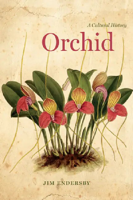 Orchid (English, Jim Endersby)