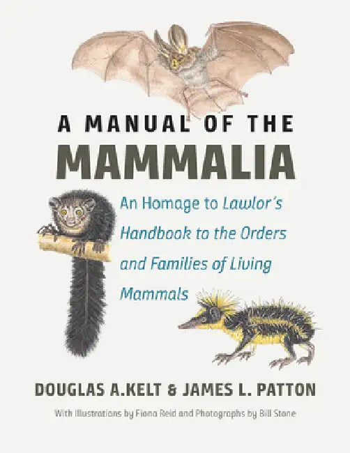 Buy A Manual of the Mammalia (English, Douglas A. Kelt | James L. Patton) — BookShops.in