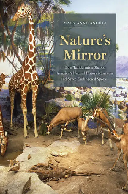 Buy Nature's Mirror (English, Mary Anne Andrei) — BookShops.in
