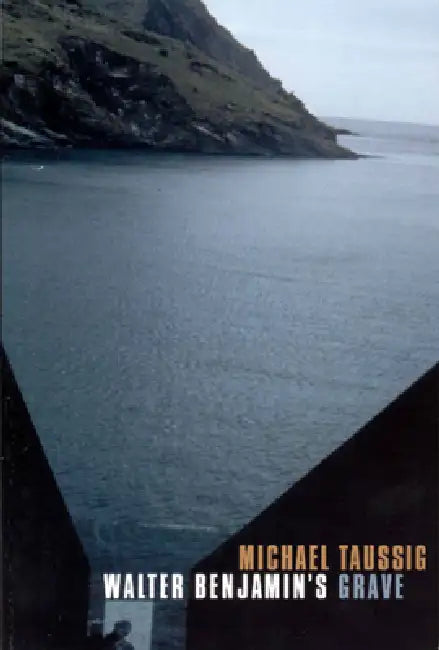 Walter Benjamin's Grave (English, Michael Taussig)